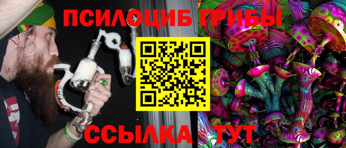 Котовск  Галлюциногенные грибы Cubensis  Галлюциногенные грибы мицелий  Вход с VPN 
