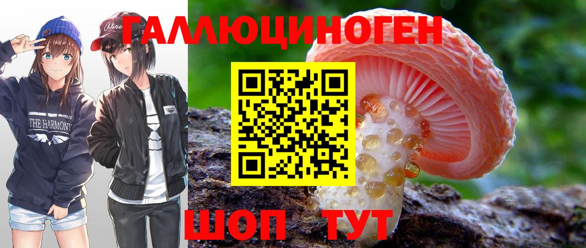 Псилоцибиновые грибы Psilocybe Котовск